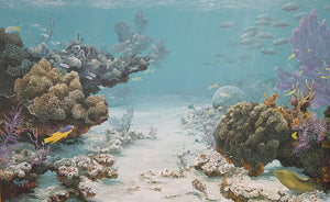 "Reef of Serenity"