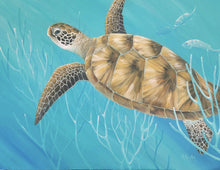 "Gliding Sea Turtle"