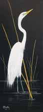 "Mr. Heron"