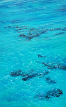 "Standing Above II"