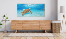 "Turtle Beach Swim"