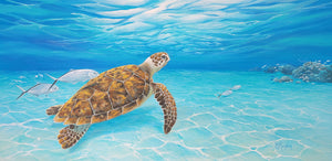 "Turtle Beach Swim" Original