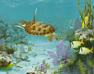 "Turtles Turn" - Print