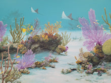 "Eagle Ray Reef"