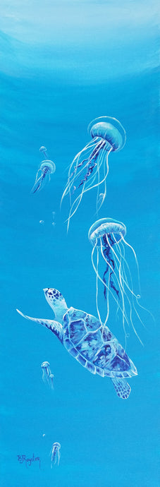 Hawksbill and Jellies