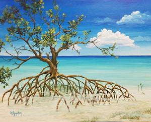 "Mangrove Rest"