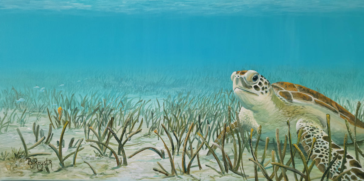 Sea Turtle and Seahorse