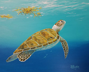 "Sea Turtle Swim"  - Original