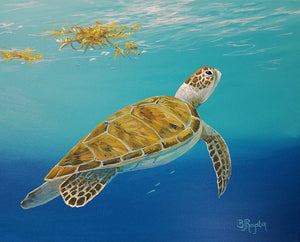 "Sea Turtle Swim"  - Original